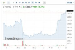 [网上配资公司]加密货币1月总市值增长2800亿美元比特币涨幅超40%或将创下10年来最好月度表现